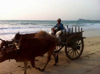 Ngapali Beach